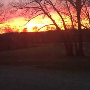 Meet your Posher, Randi